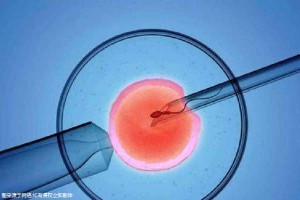 层流实验室